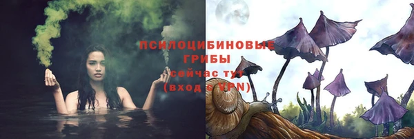 apvp Верея