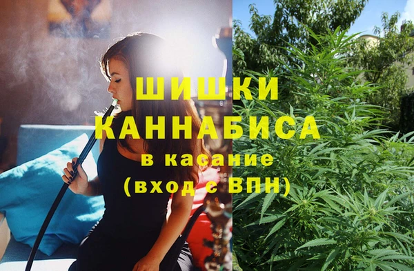 apvp Верея
