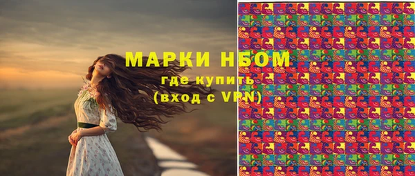 apvp Верея