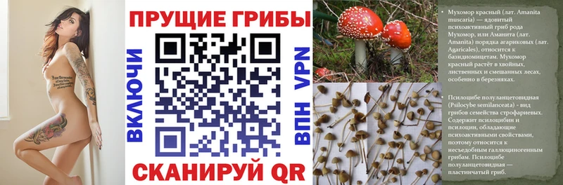 Галлюциногенные грибы ЛСД  Верхняя Пышма 