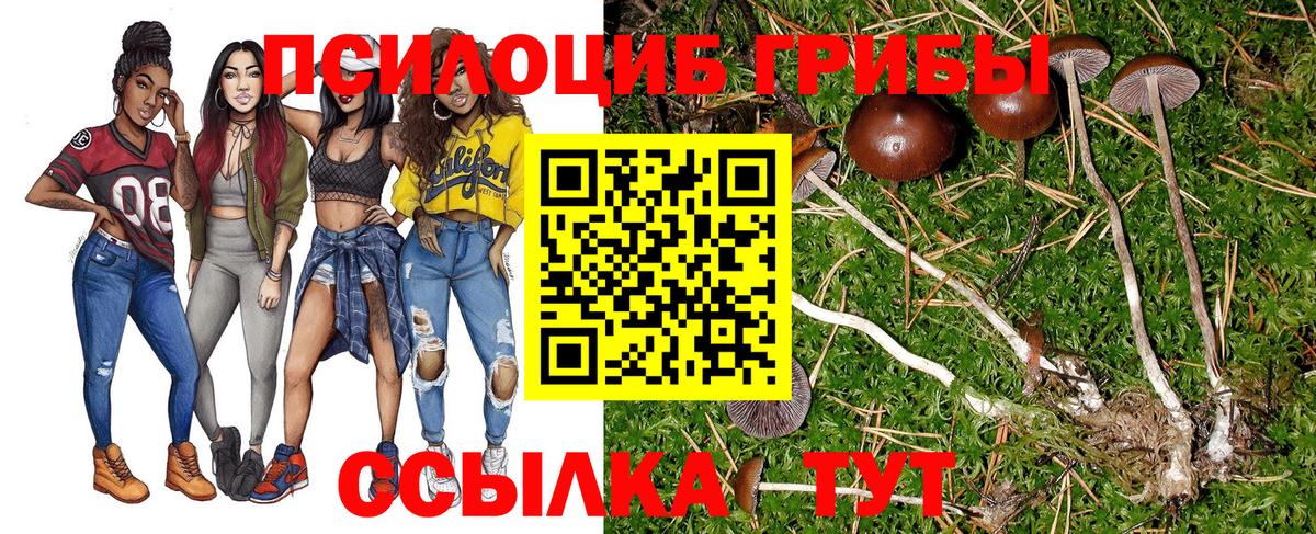 Верхняя Пышма  Псилоцибиновые грибы Psilocybine cubensis  Вход с VPN 