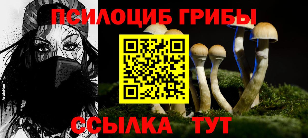 Псилоцибиновые грибы Psilocybe Верхняя Пышма