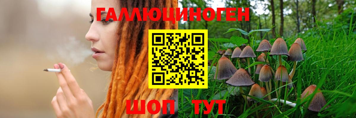 Псилоцибиновые грибы Magic Shrooms  Верхняя Пышма 